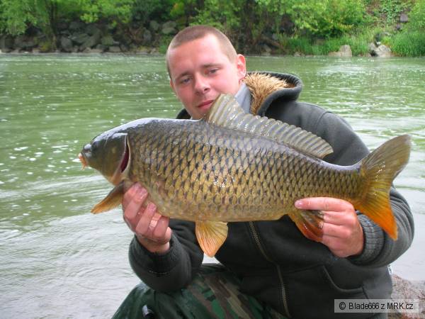 Kapor4,5kg