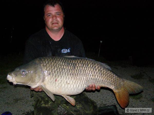 102 cm a 20 kg