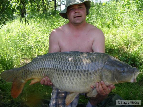 102 cm a  18,5 kg