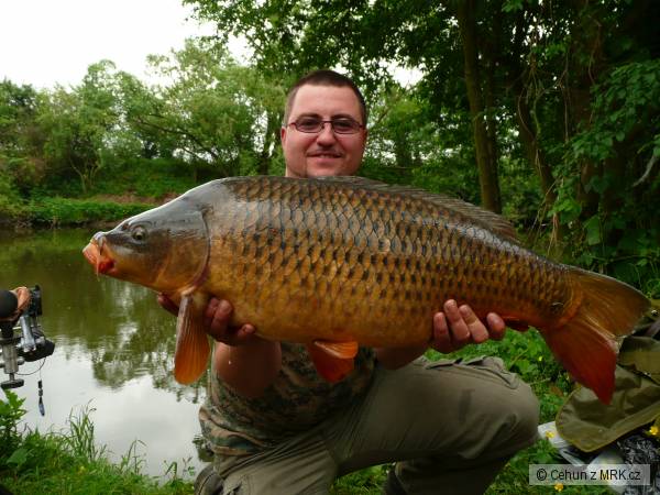kaprik76 11KG