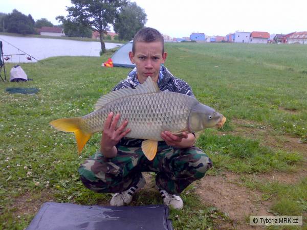 Kapr 73 cm