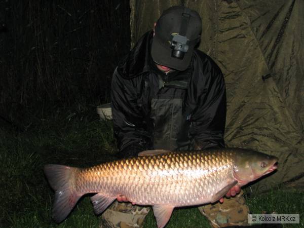Pstra�n� Kv�ten 2009