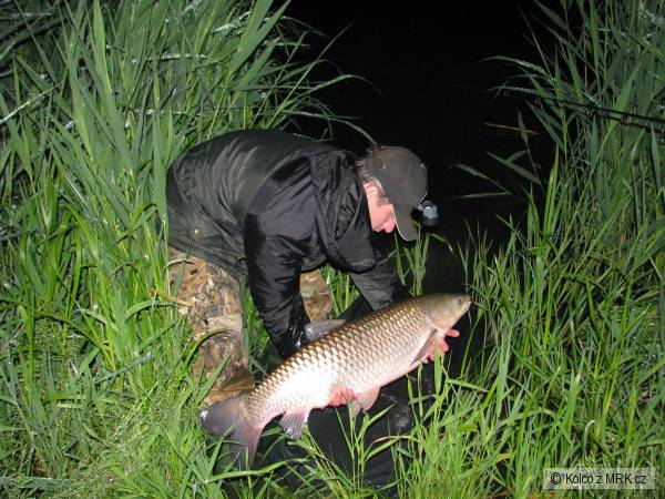 Pstra�n� Kv�ten 2009