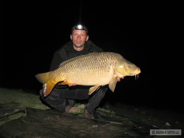 Kapr 98cm,16kg-Ebro