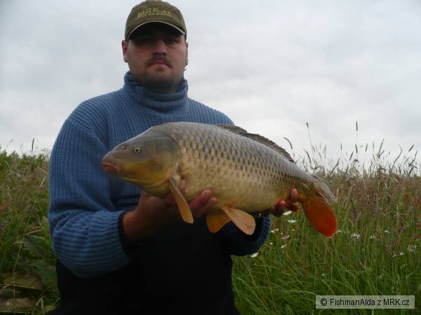 74cm 7,5kg
