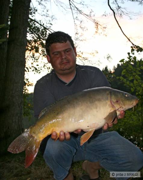 Adamovsk� rybn�k 2008
