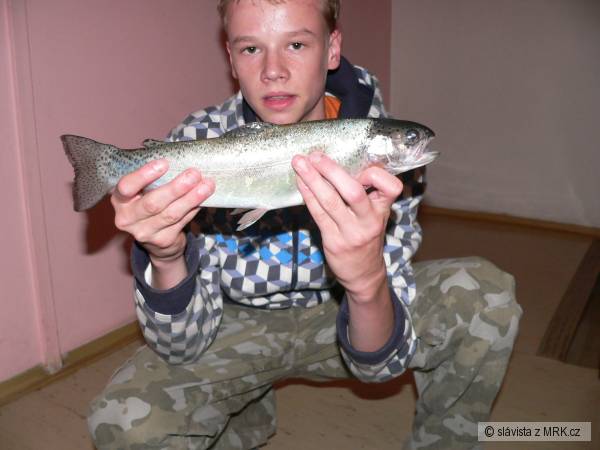 pstruh 40 cm