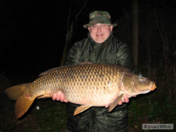 kapr 90cm, 16kg