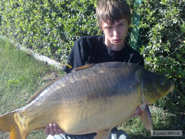 11kg