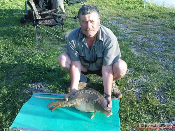 67 cm kapr, Lukavec, str�c 