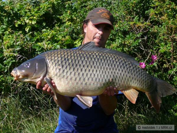 kapr D5 90cm 13,6kg