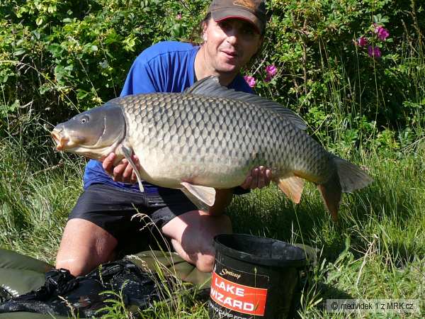 kapr D5 90cm 13,6kg