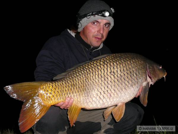 D5-85cm 11kg