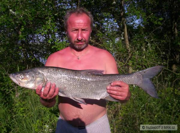 Dal�� men�� drave�ek