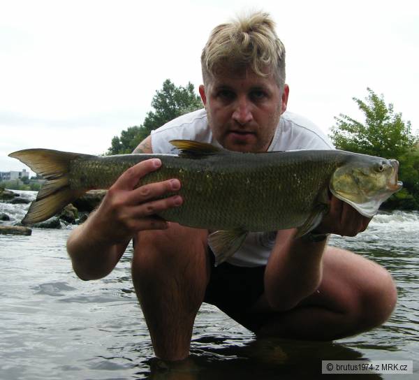 Bole� 72cm, 4kg, 16.6.2009, rieka Nitra NZ