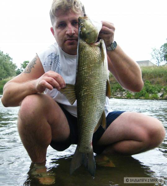 Bole� 72cm, 4kg, 16.6.2009, rieka Nitra NZ