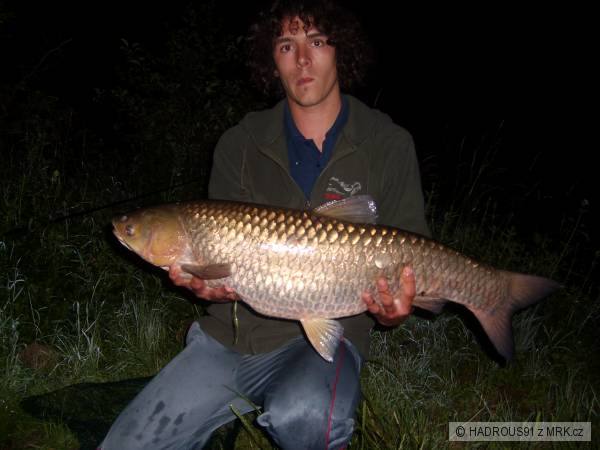 Amur 85cm