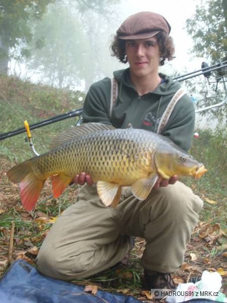Kapr 71cm