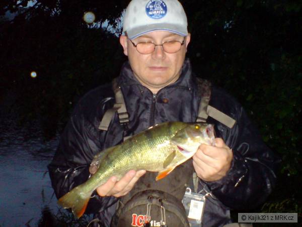 41cm, 1kg.