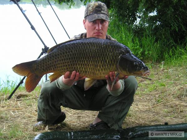Labe 2009