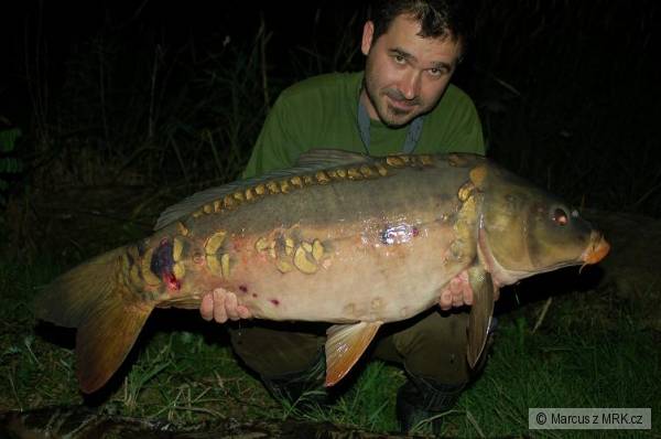 ��rava 12,3kg 87cm