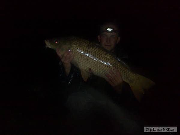 76cm,8kg