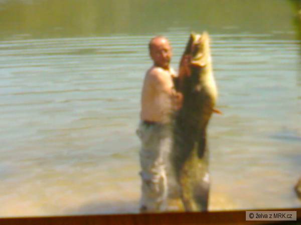 Rija Roba Ebro