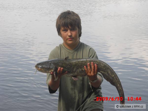 ten m�l rovnejch 80 ��sel.....