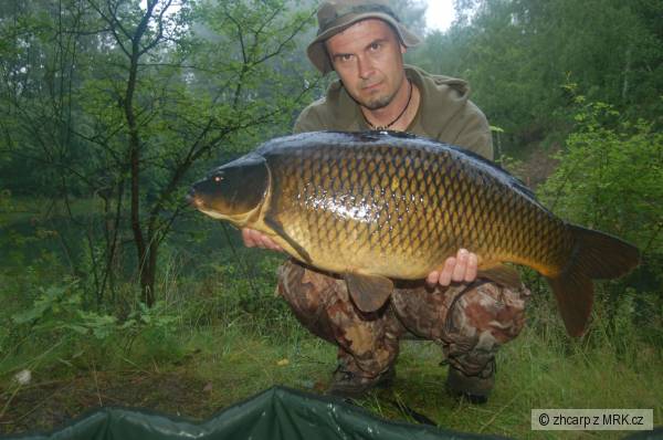 11.60 kg