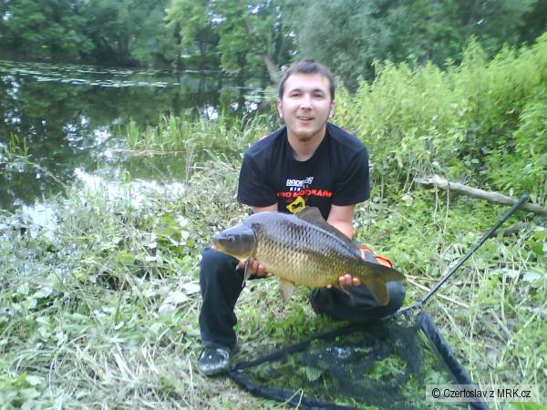 Kapr 63cm 6.2kg