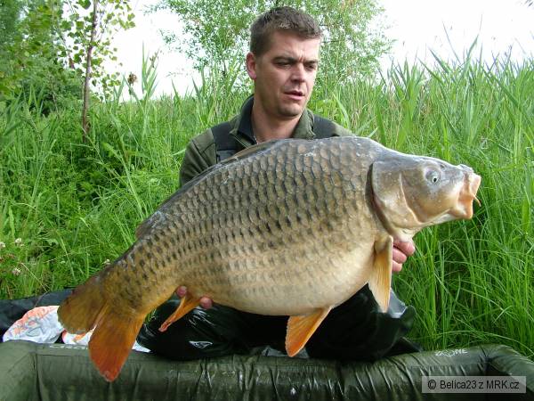 15,7 kg
