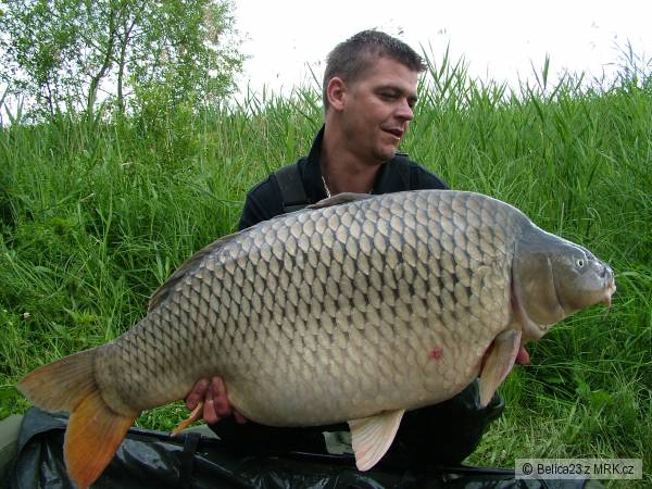 23,15 kg