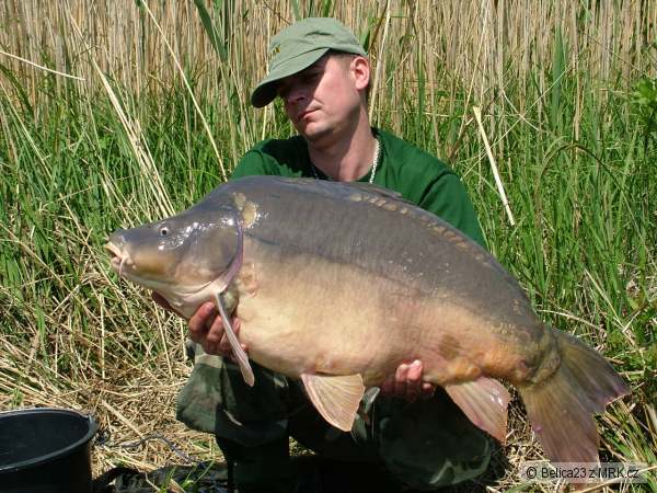 17,6 kg