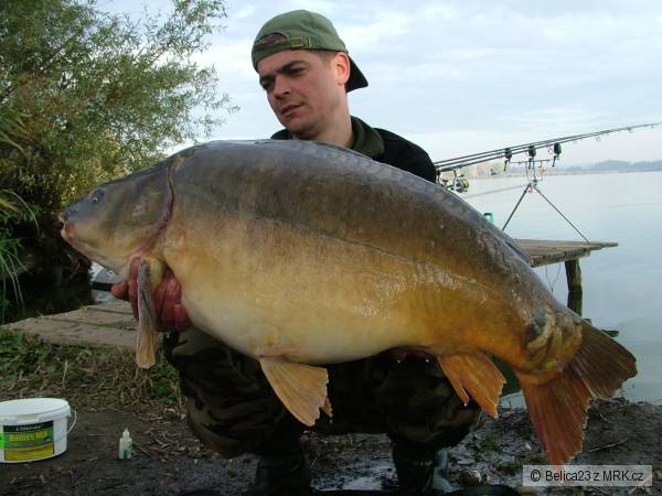 19 kg