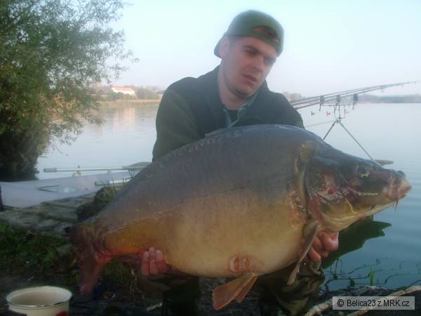 18,3 kg