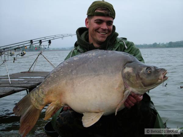 16 kg