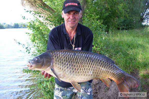 A tady je v�sledek.....Kapr 104cm-18kg