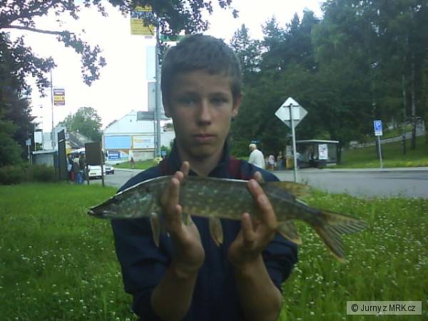 S�zava 17