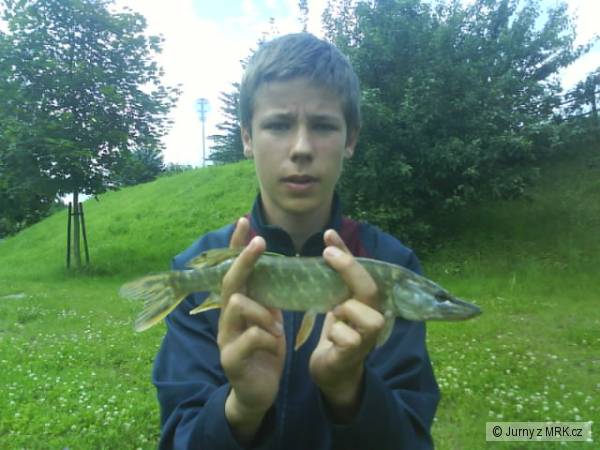 s�zava 17