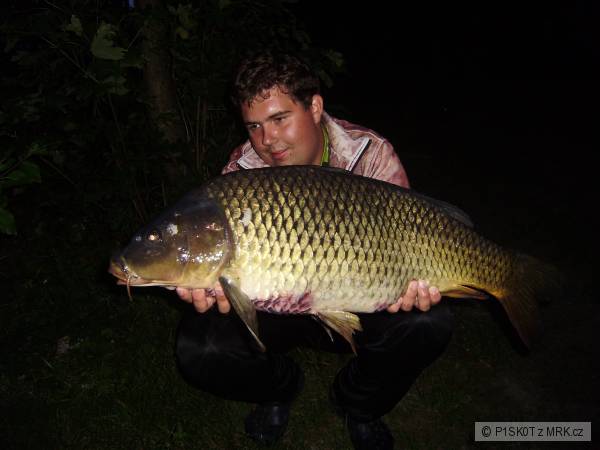 kapr 84cm-13kg