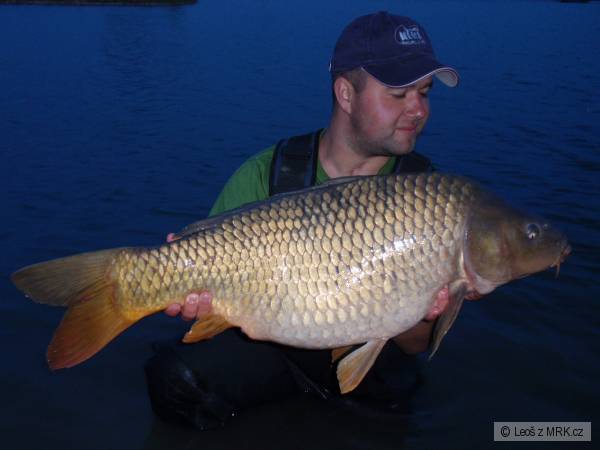 12kg
