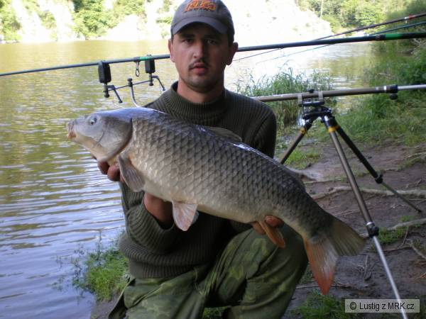 kaprik 80cm 8kg