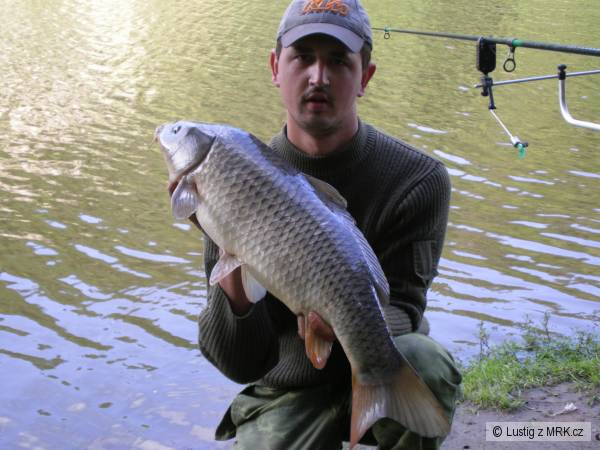 kaprik 80cm 8kg
