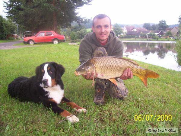 �ejovsk� kapr 77 cm