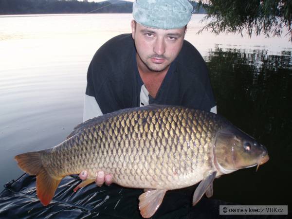 ,Svazovka' Srpen 2008
