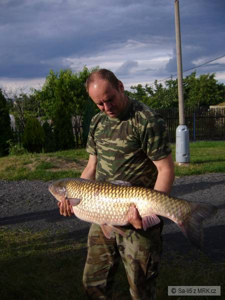 amur 107cm po druhy