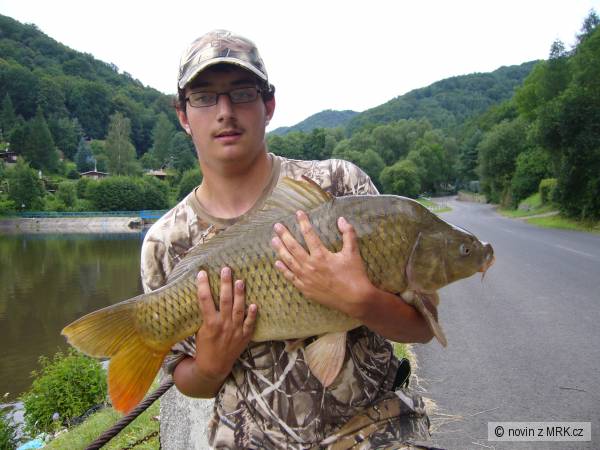 kapr 80cm 10kg