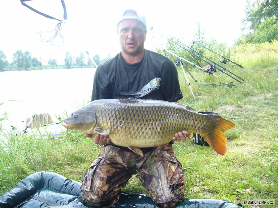 2009 labe 88cm,14kg