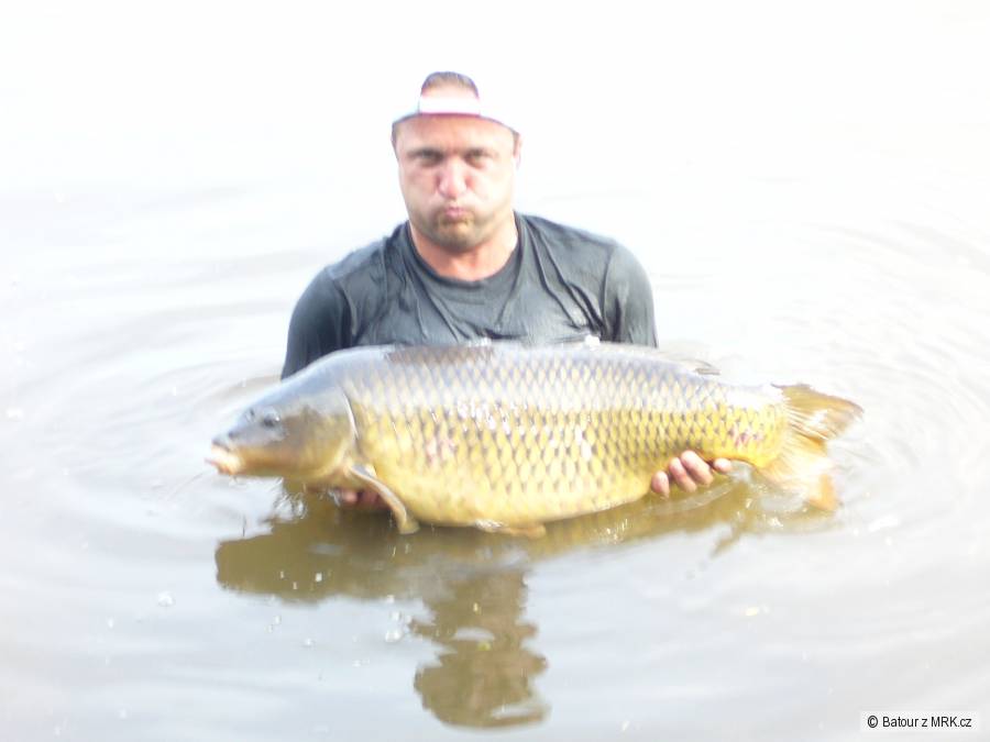 2009 labe