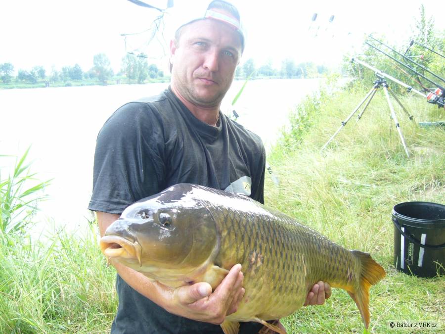 2009 labe